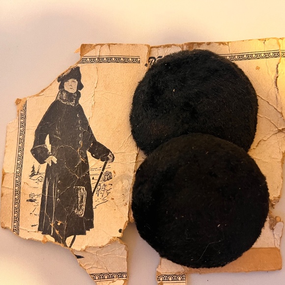 2 Antique Fur Buttons on Original Antique Sales Card - Picture 3 of 3